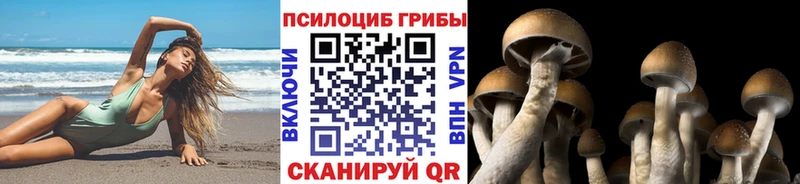 где продают   Гремячинск  Галлюциногенные грибы ЛСД 