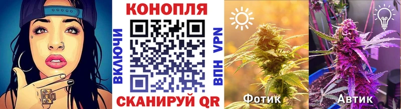 Бошки Шишки планчик  Гремячинск 